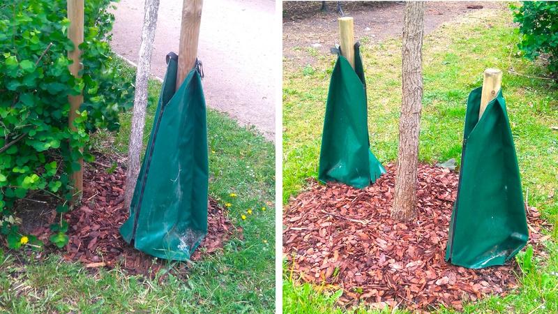 Optymalne podlewanie drzew