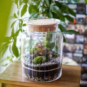 Zielony miniaturowy świat: Jak stworzyć las lub ogród w słoiku – Poradnik DIY krok po kroku