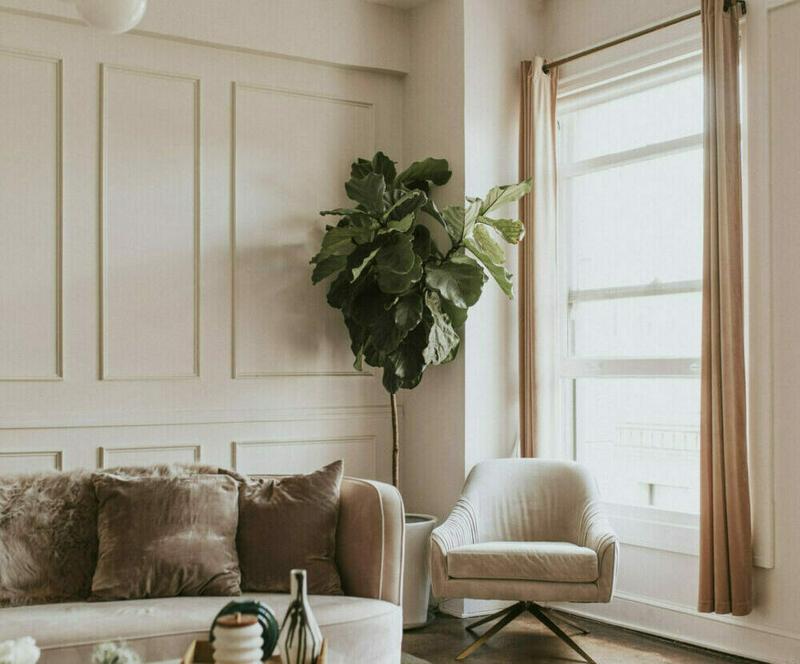 Jak wybrać sztukaterię