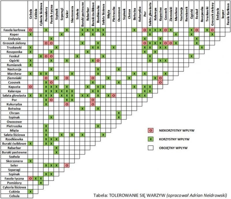 Najlepsze zestawienia warzyw