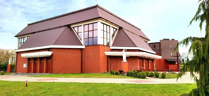 Odmiany lubin do ogrodu