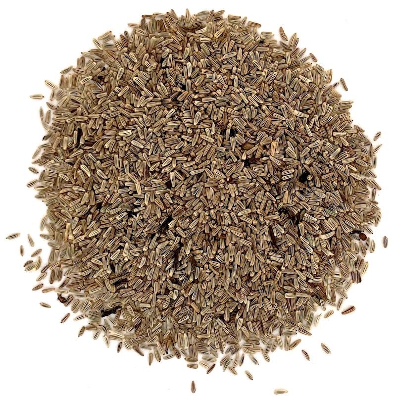 Optymalne warunki dla złocienia