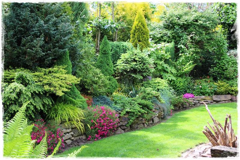 Planowanie przestrzeni w ogrodzie