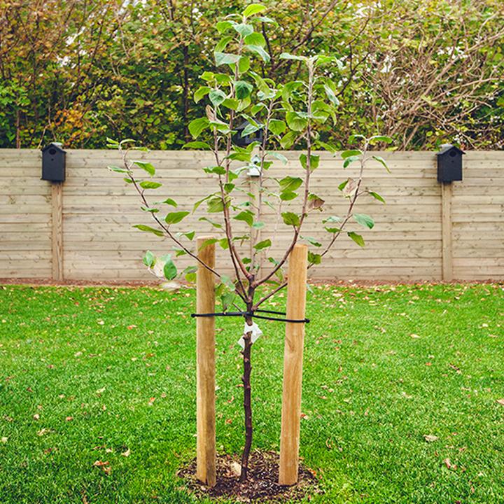 Przygotowanie gleby do sadzenia