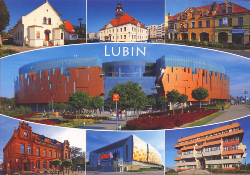 Uprawa lubin w ogrodzie