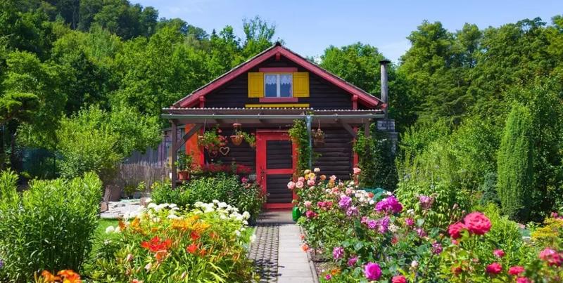 Urządzanie ogrodu porady