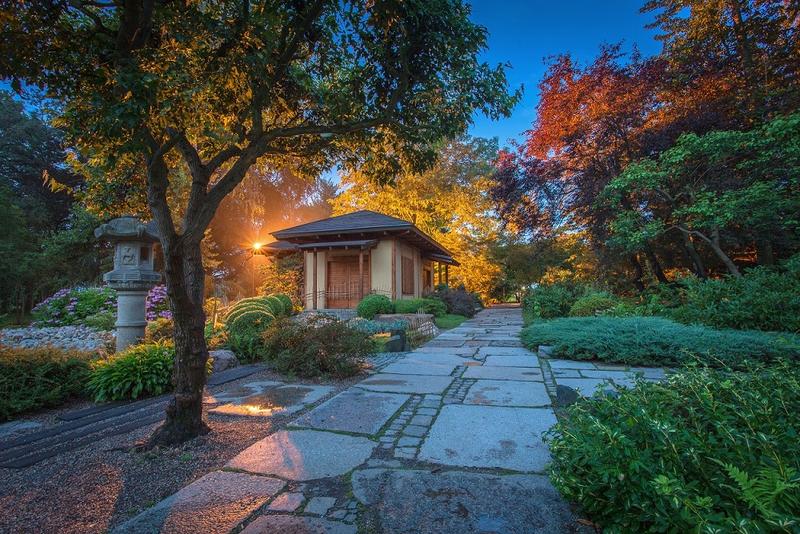 Jak skutecznie uniknąć błędów podczas urządzania swojego ogrodu?