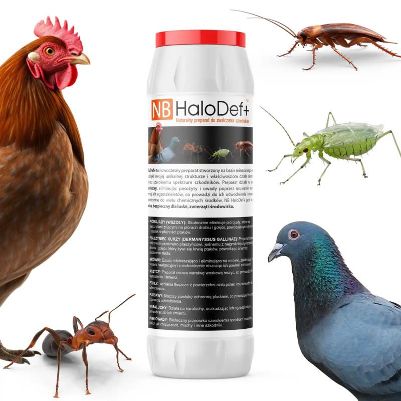 Naturalne odstraszanie gołębi