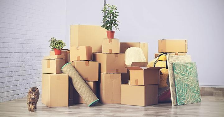 Organizacja pakowania