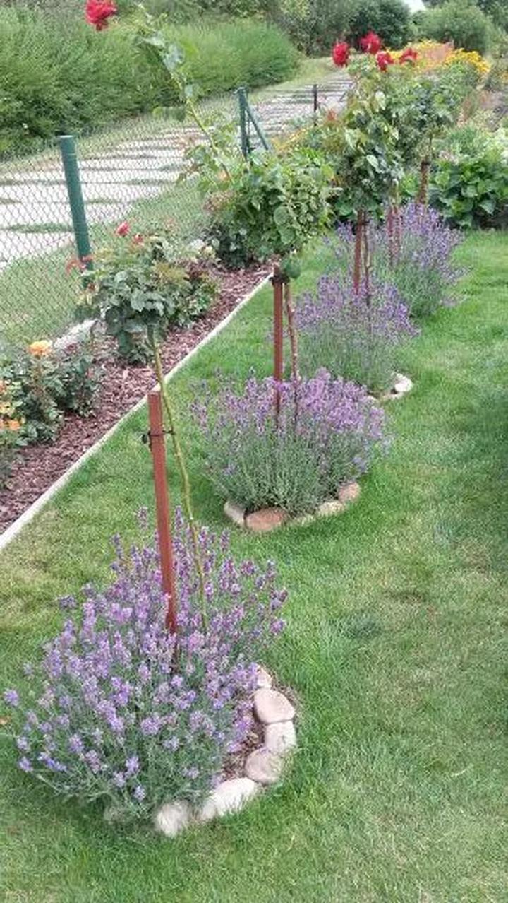 Planowanie przestrzeni ogrodowej