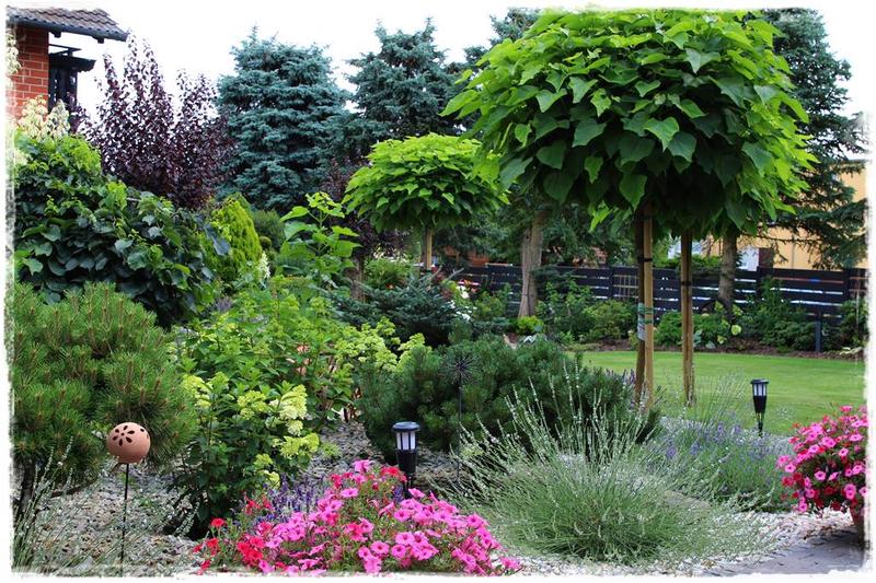 Rabata z lawendą i różami