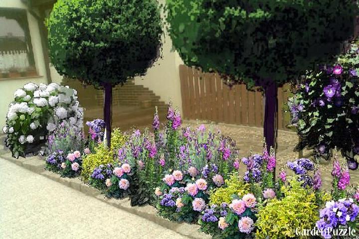 Jak stworzyć zachwycającą rabatę z lawendą i różami – krok po kroku