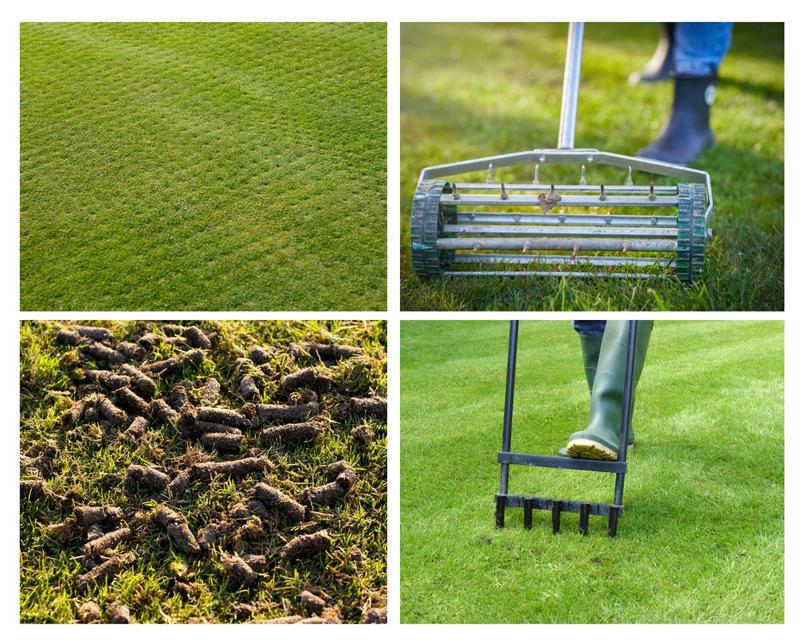 Kiedy i jak skutecznie przeprowadzić aerację trawnika? Przewodnik krok po kroku