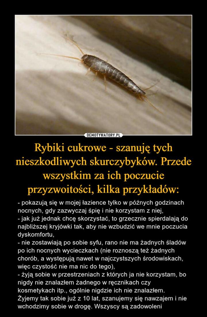 Domowe metody na rybiki