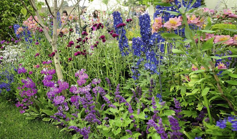 Ochrona przed szkodnikami roślin