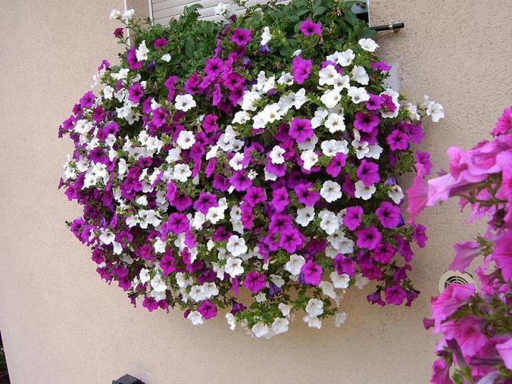 Przewodnik po surfinie