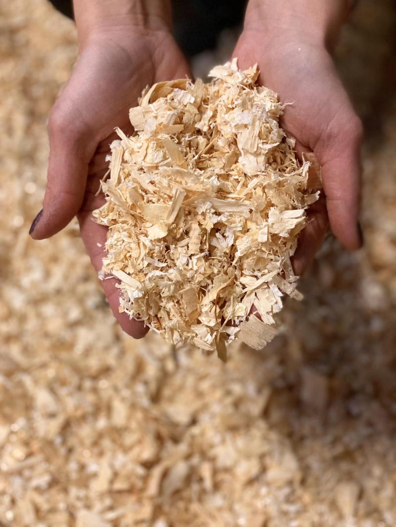 Przygotowanie trocin do ściółkowania