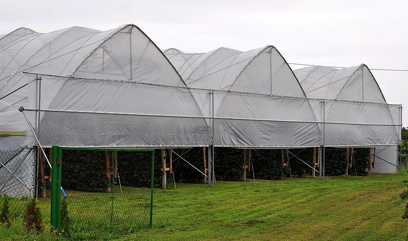 Narzędzia do tunelu foliowego