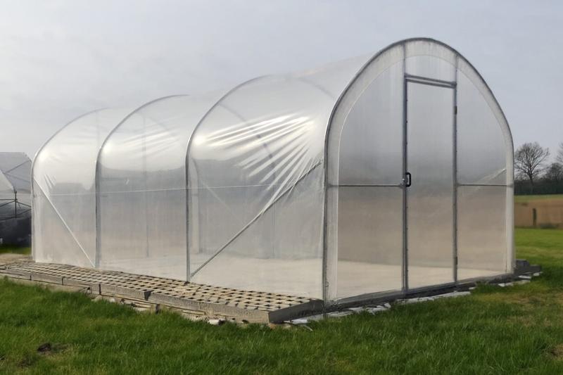 Uprawa roślin w tunelu