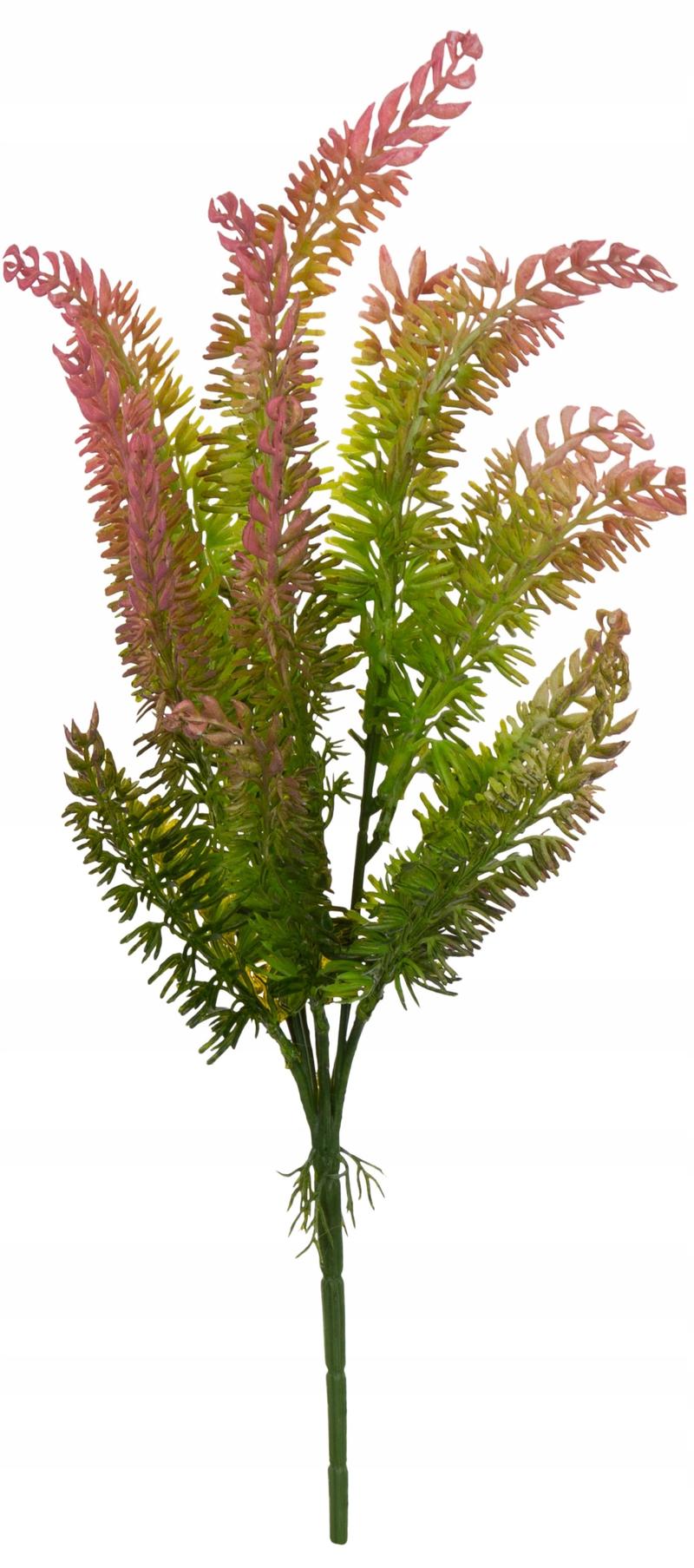 Wrzosiec i wrzos różnice