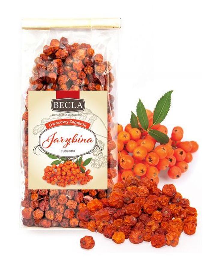 Zdrowie i ochrona jarzębiny