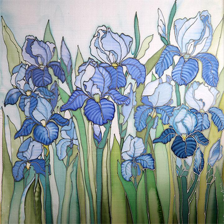 Problemy w uprawie irysów