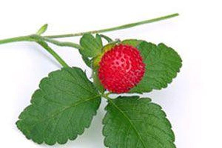 Przycinanie liści poziomki