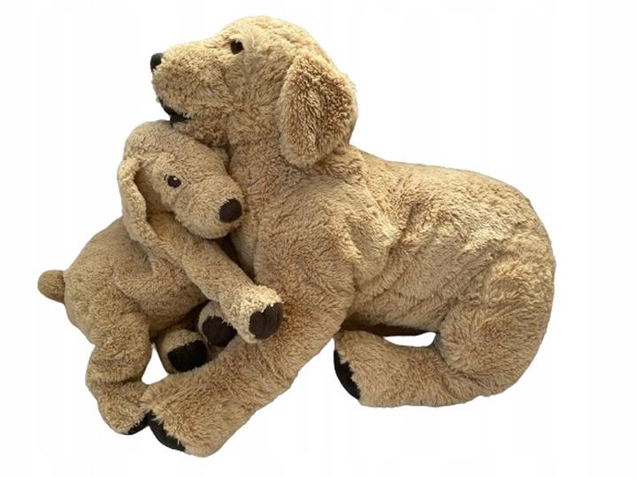 Zasady i wymagania dla psów w IKEA