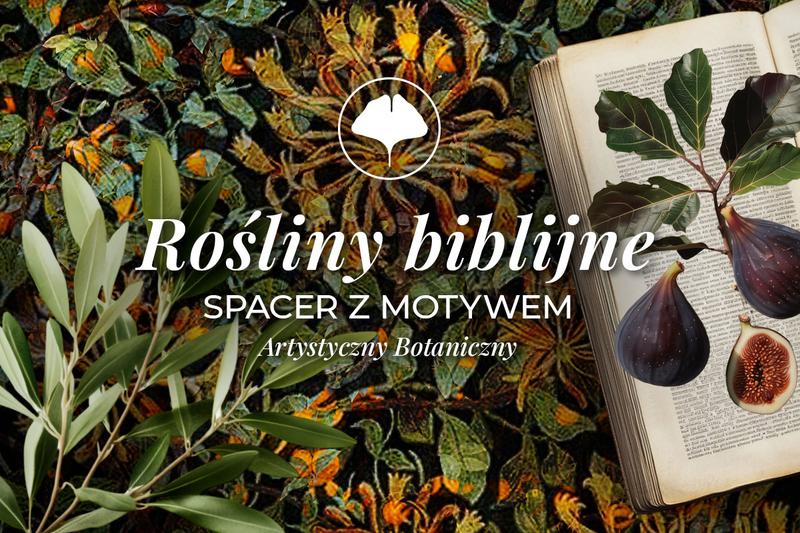 Rośliny biblijne