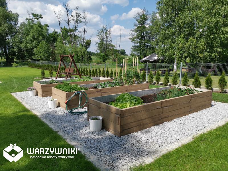 Rośliny do uprawy w podwyższonych grządkach