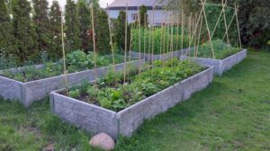 Podwyższone grządki – jakie korzyści niosą i jak je skutecznie przygotować?